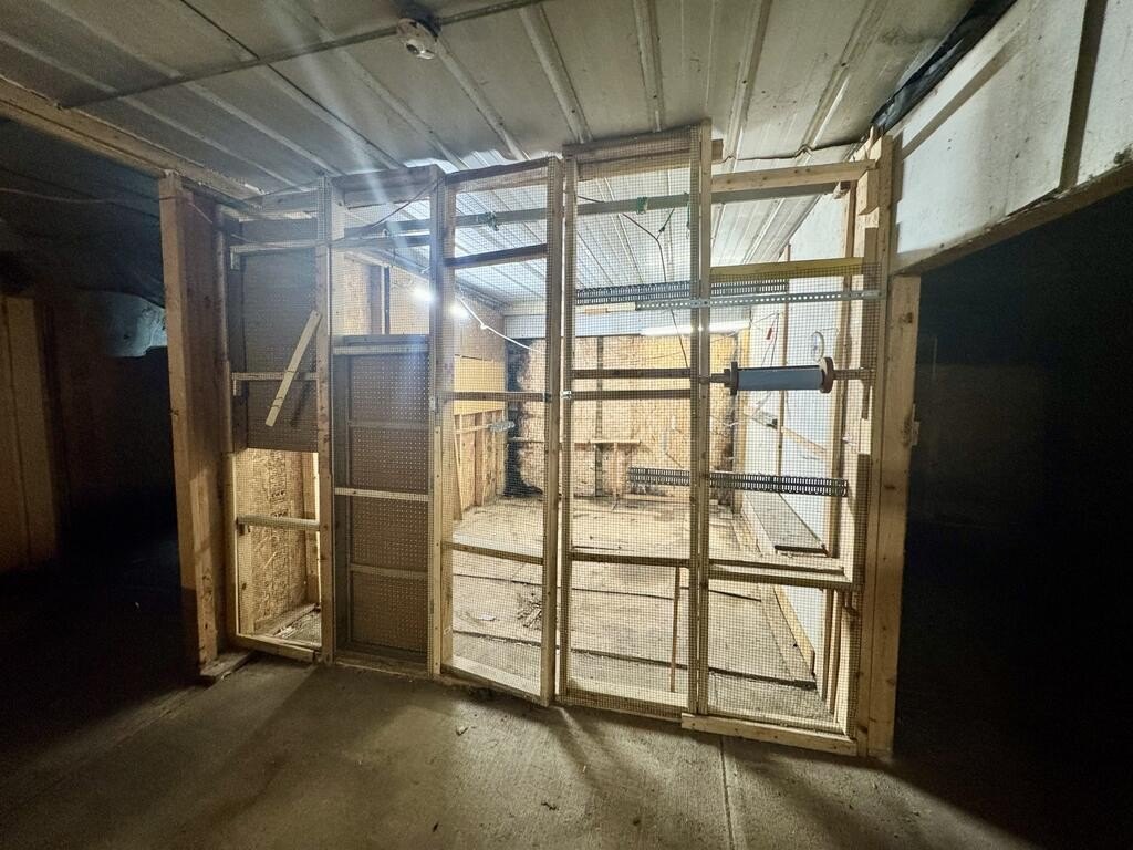 Picture 18