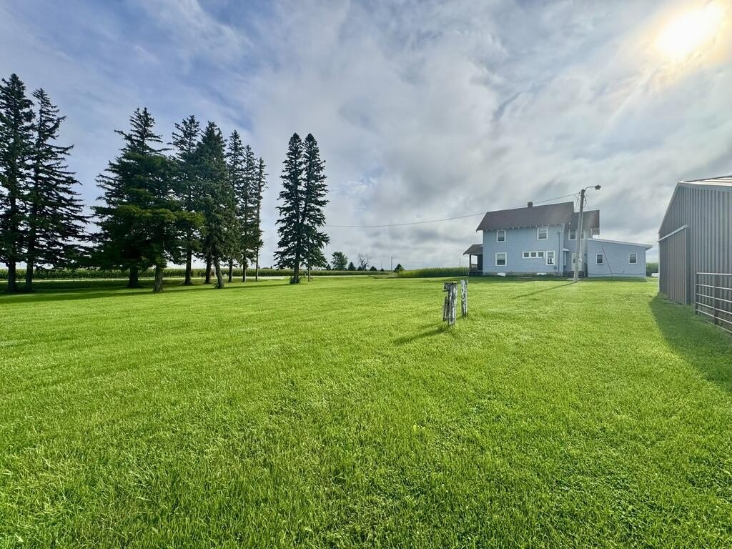 Picture 25