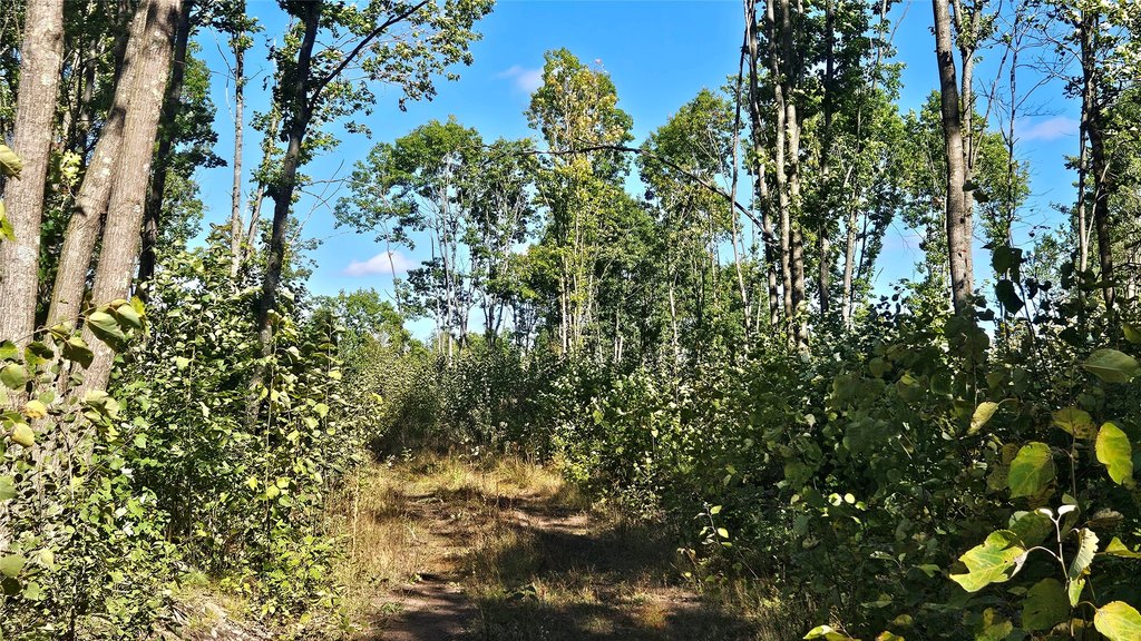 Picture 7