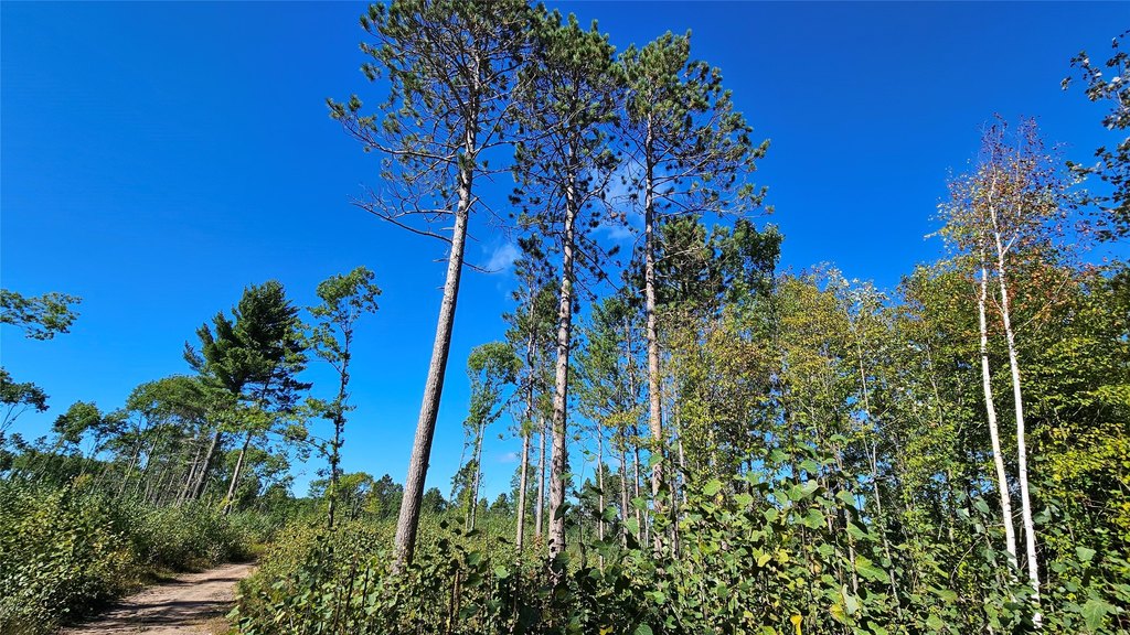 Picture 19