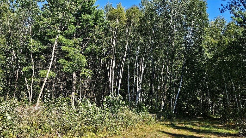 Picture 17