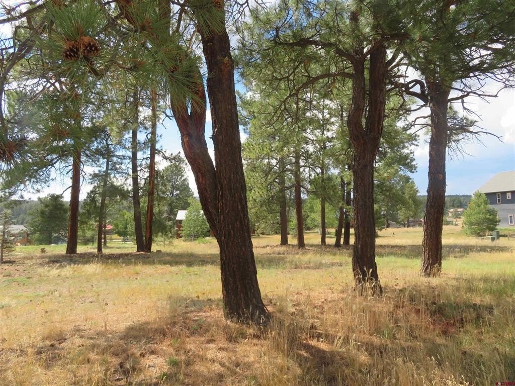Land in Pagosa Springs, CO