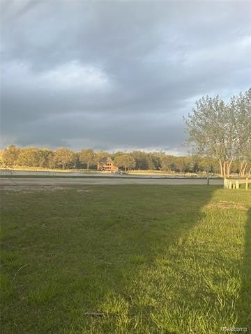 Picture 9