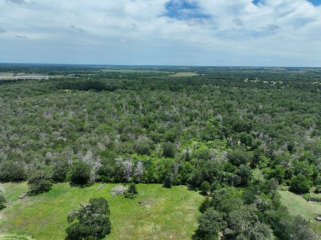 Secluded Wooded Land in Fayette County