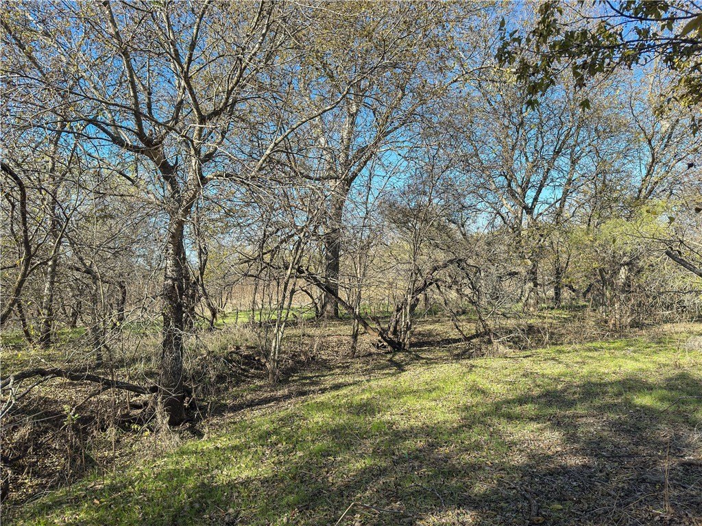 Picture 46