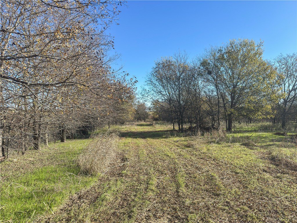 Picture 36