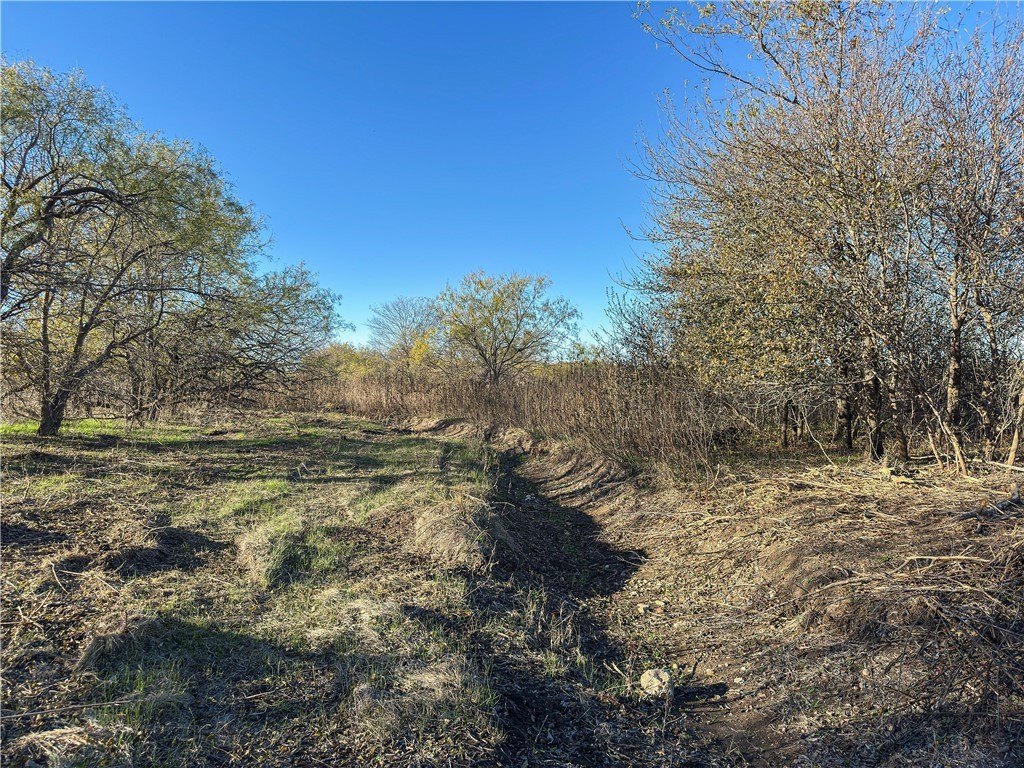 Picture 30