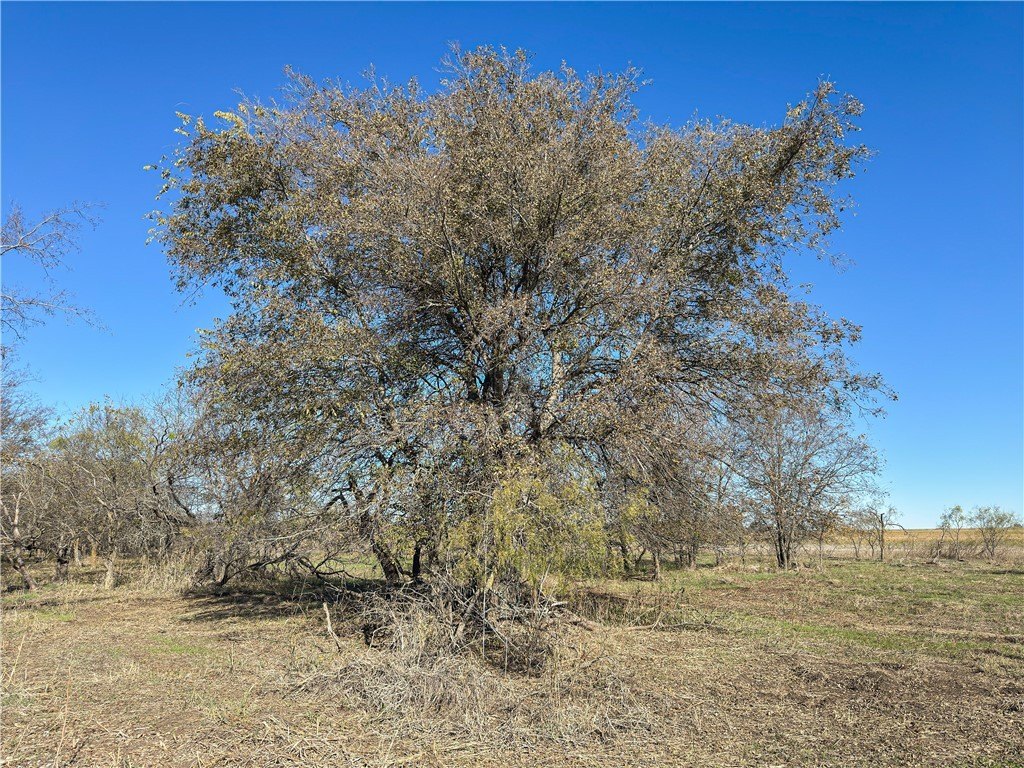 Picture 41