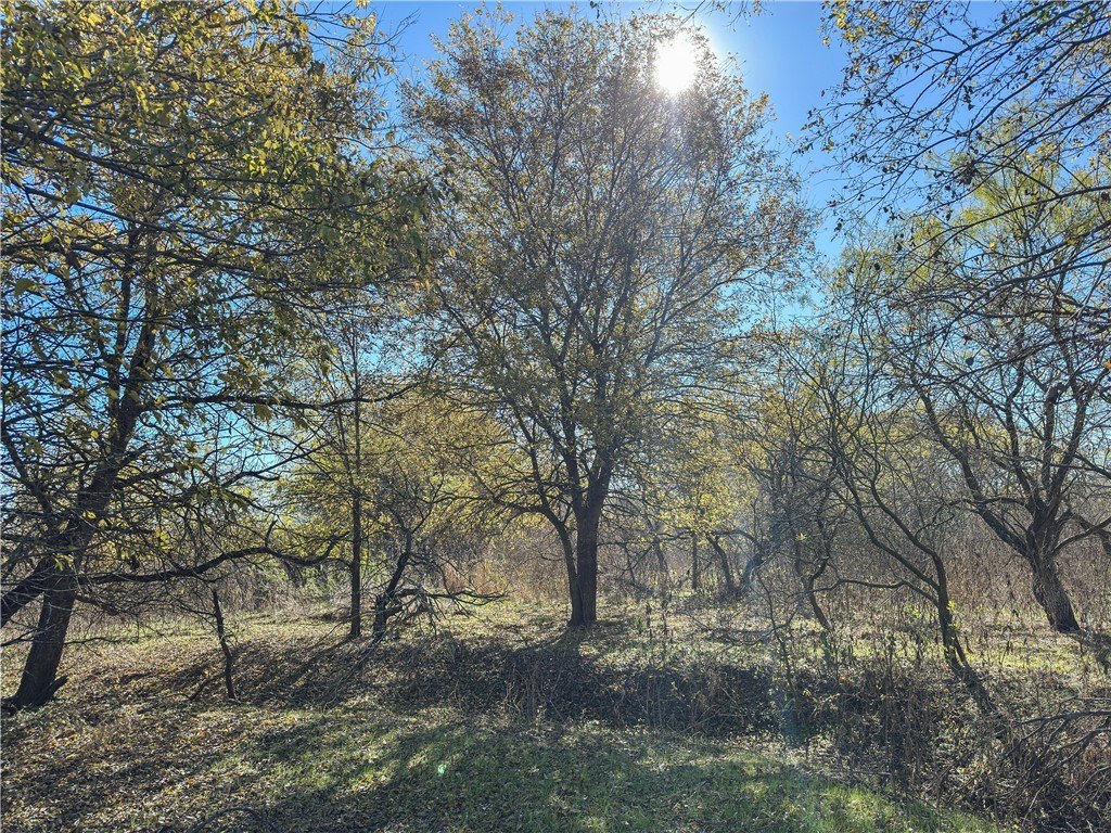 Picture 48
