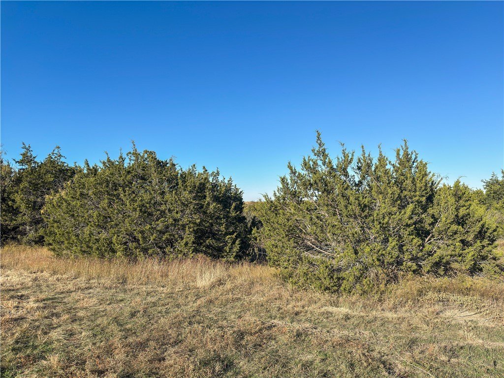 Picture 25