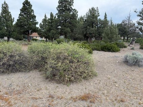 Land For Sale in Weed