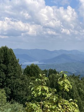 Land with Mountain and Lake Views