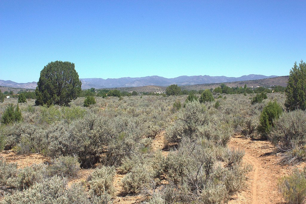 Picture 15