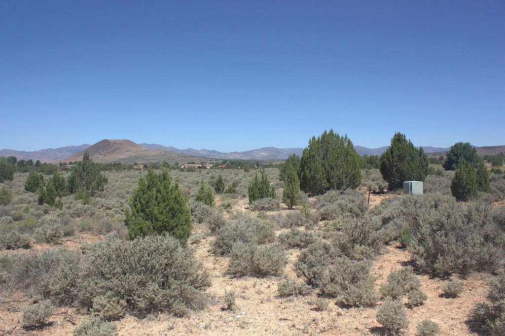 Picture 18