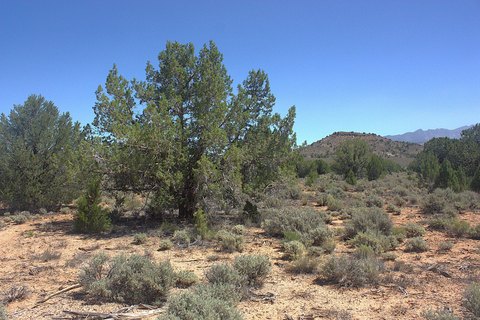 Dammeron Valley Ranch Land