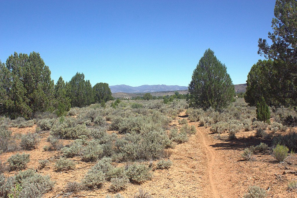 Picture 14