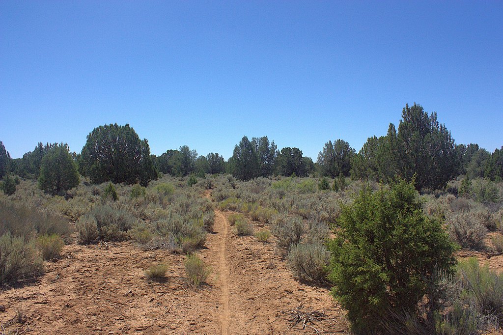 Picture 17