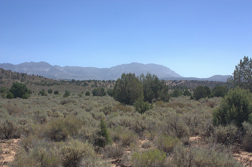 Picture 16