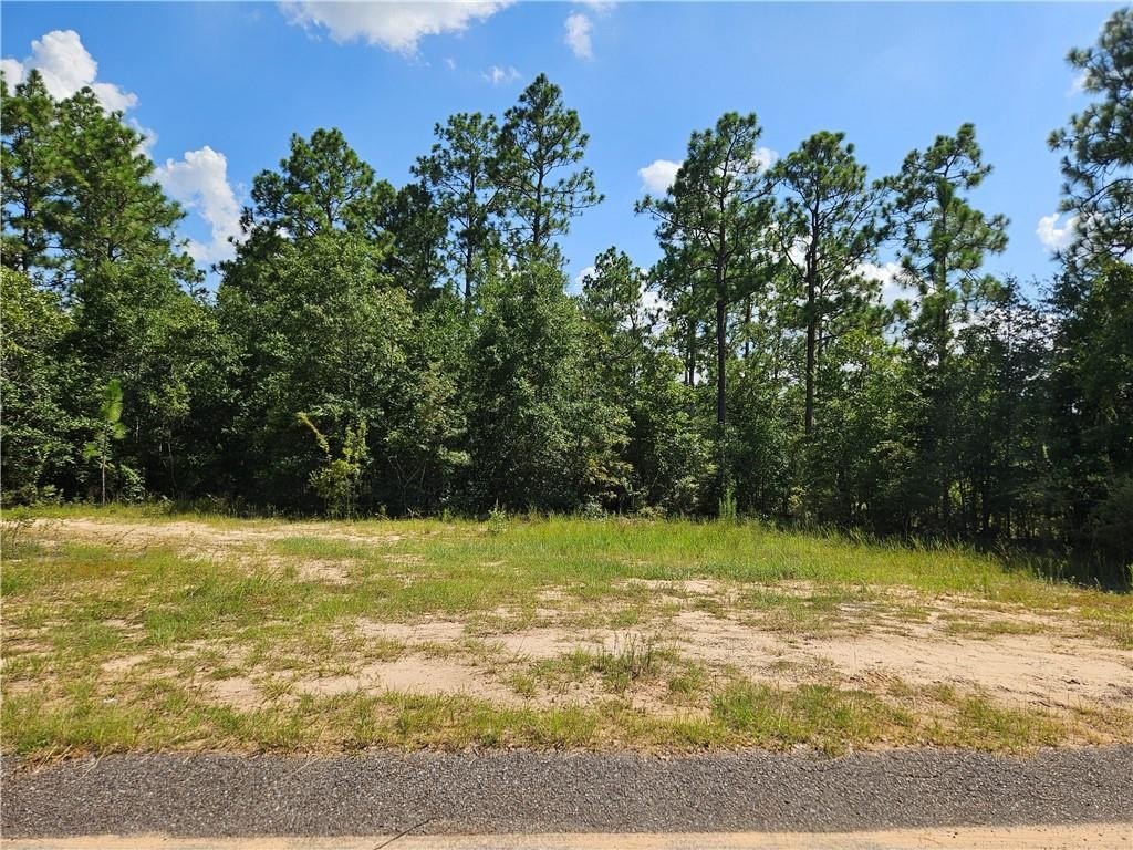 Residential Lot in Eight Mile