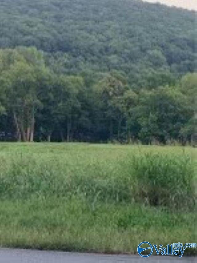 Land with Mountain Views