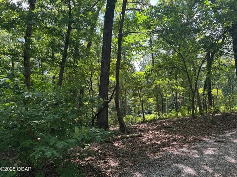 Residential Land Near Roaring River