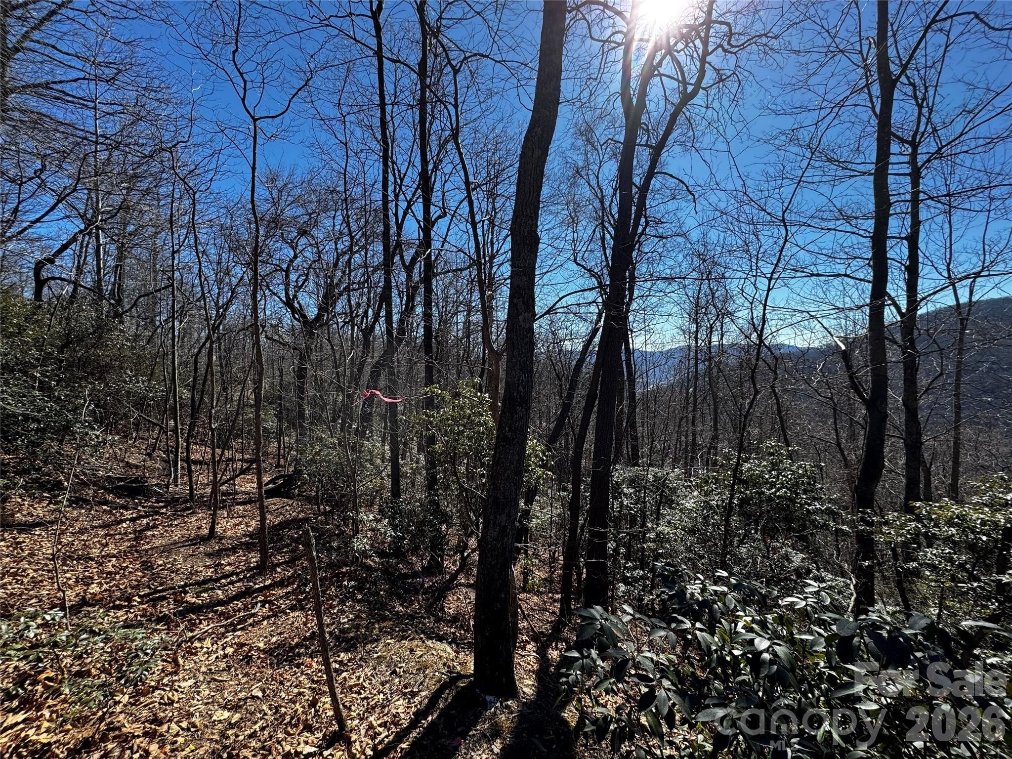 Laurel Ridge Mountain View Lot