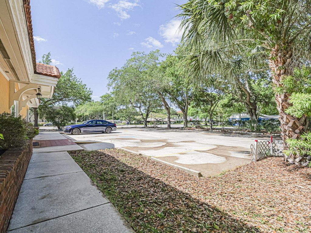 Picture 12