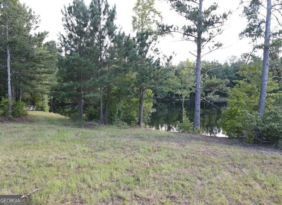 Picture 6