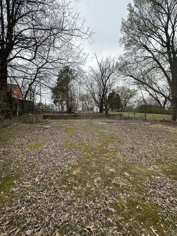 Picture 6
