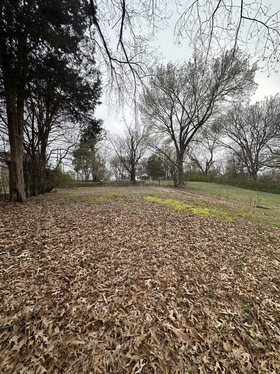 Picture 9