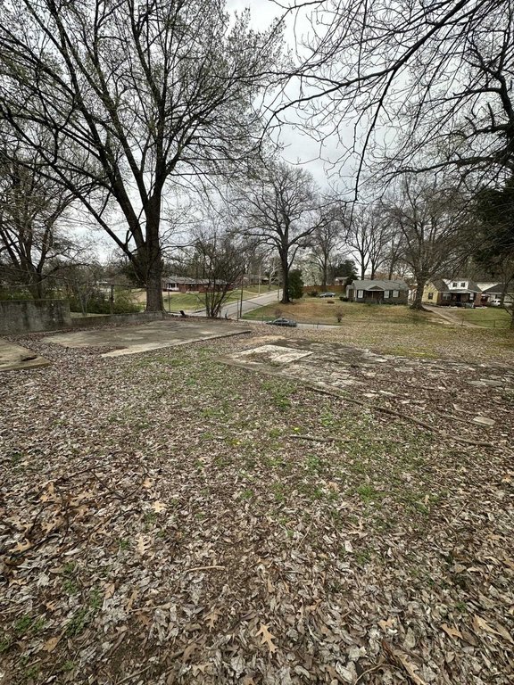 Picture 5