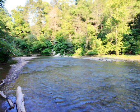 Creekfront Land Near OHV Trails