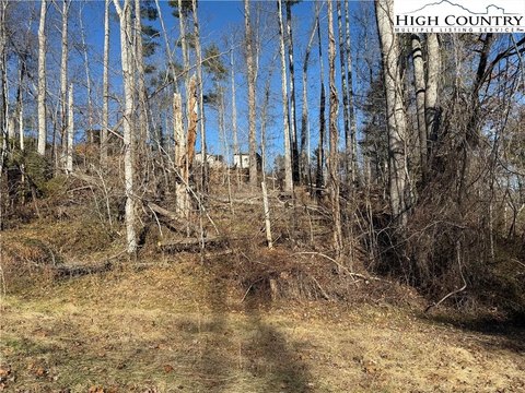 Unrestricted Wooded Lot Near Parkway