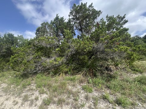 LAND - Canyon Lake, TX