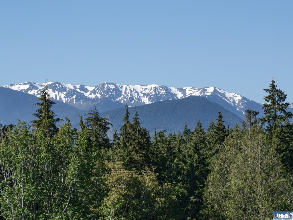 Picture 28