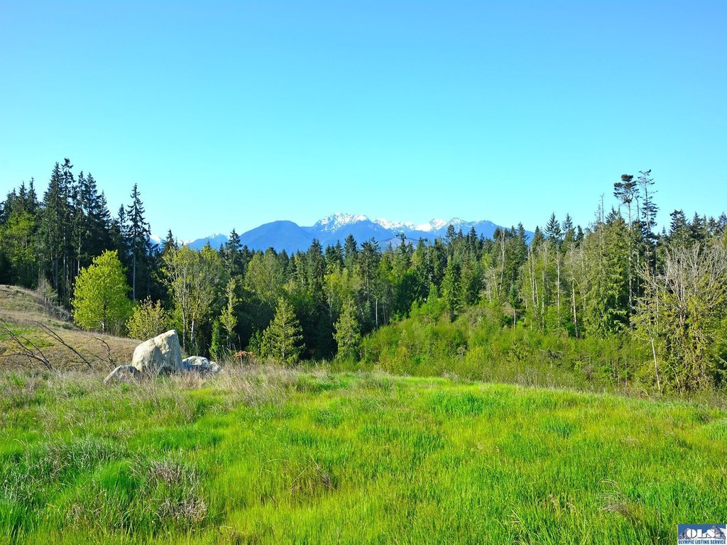 Picture 50