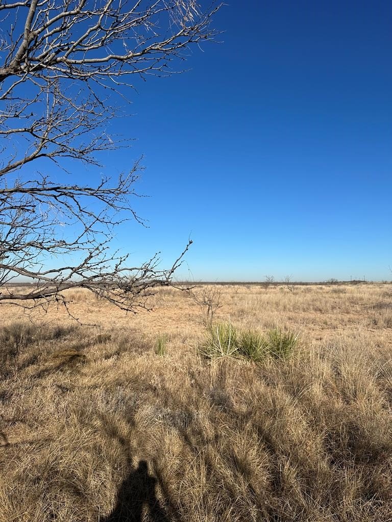Snyder, TX - 5 Acres