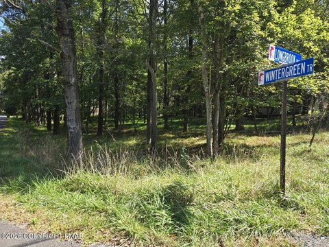 Land, Albrightsville, PA