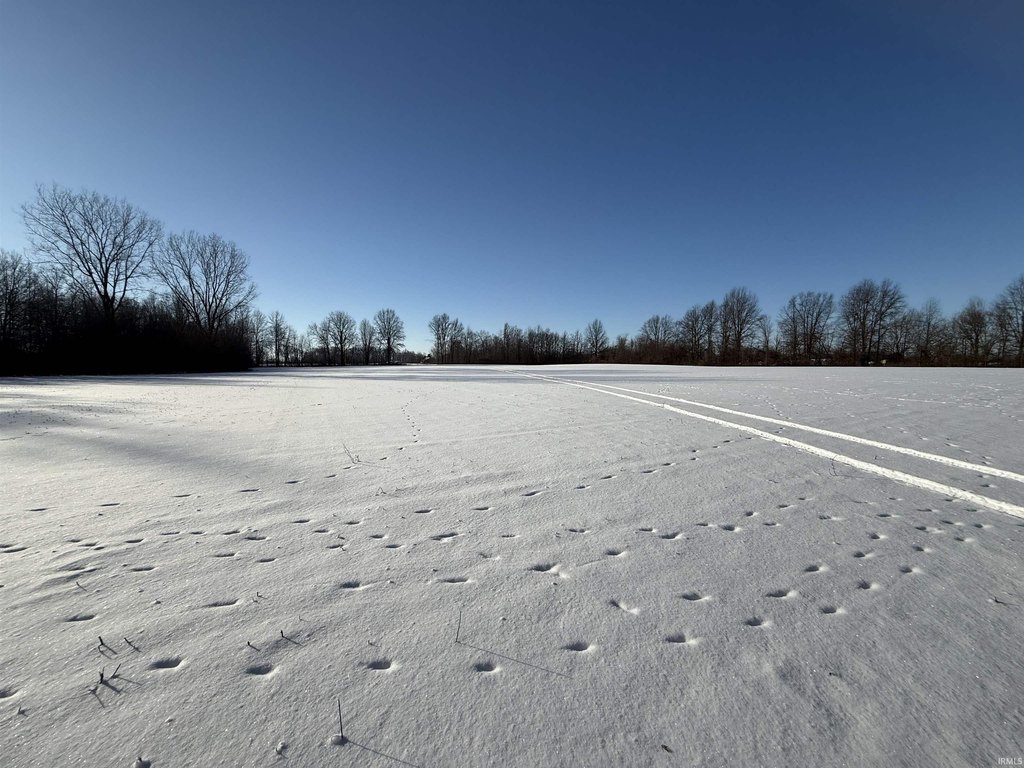 Picture 12