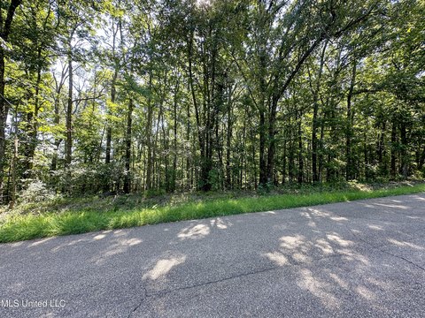 Land in Established Clinton Subdivision