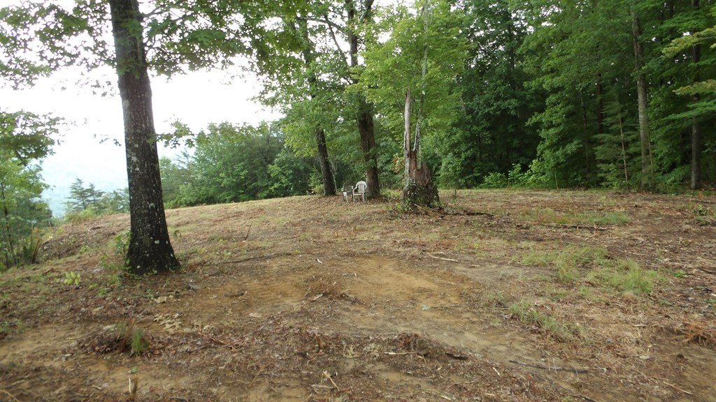Picture 29