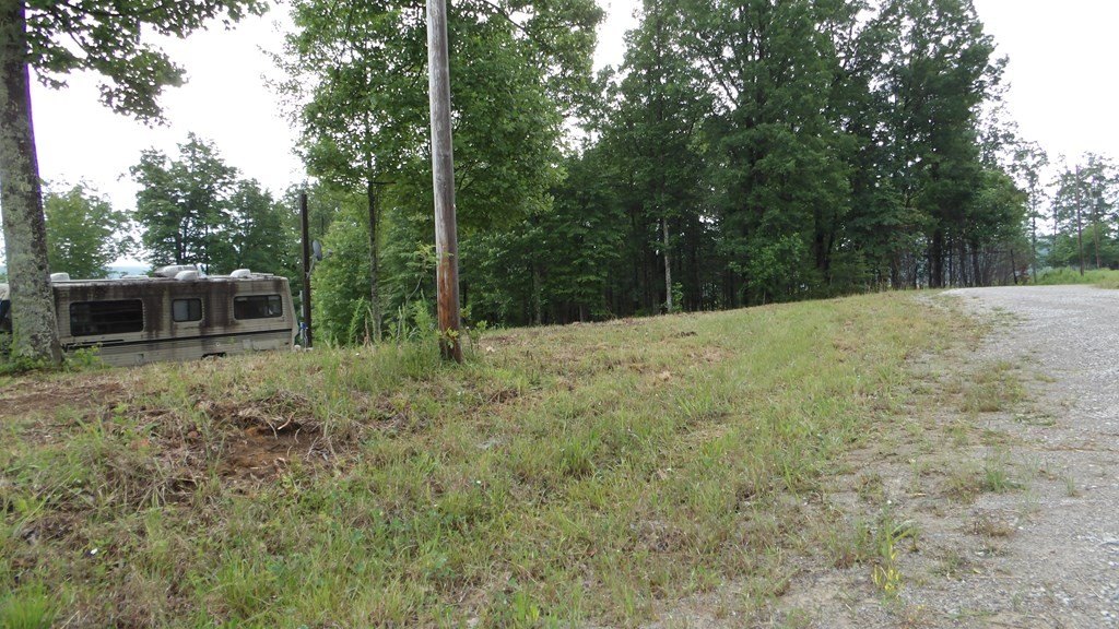Picture 4