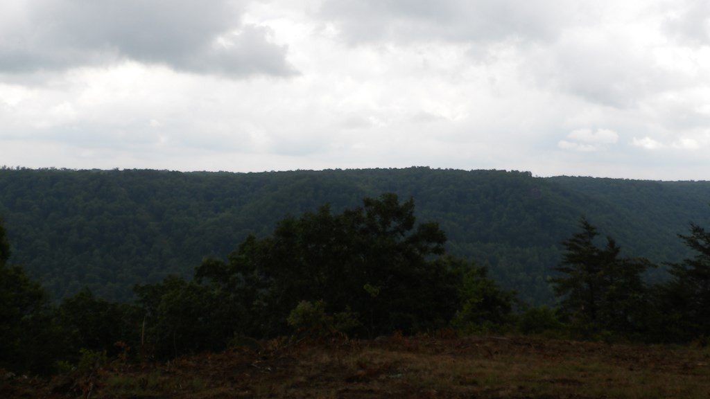 Picture 43