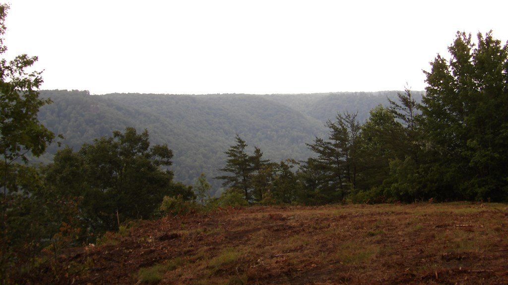 Picture 39