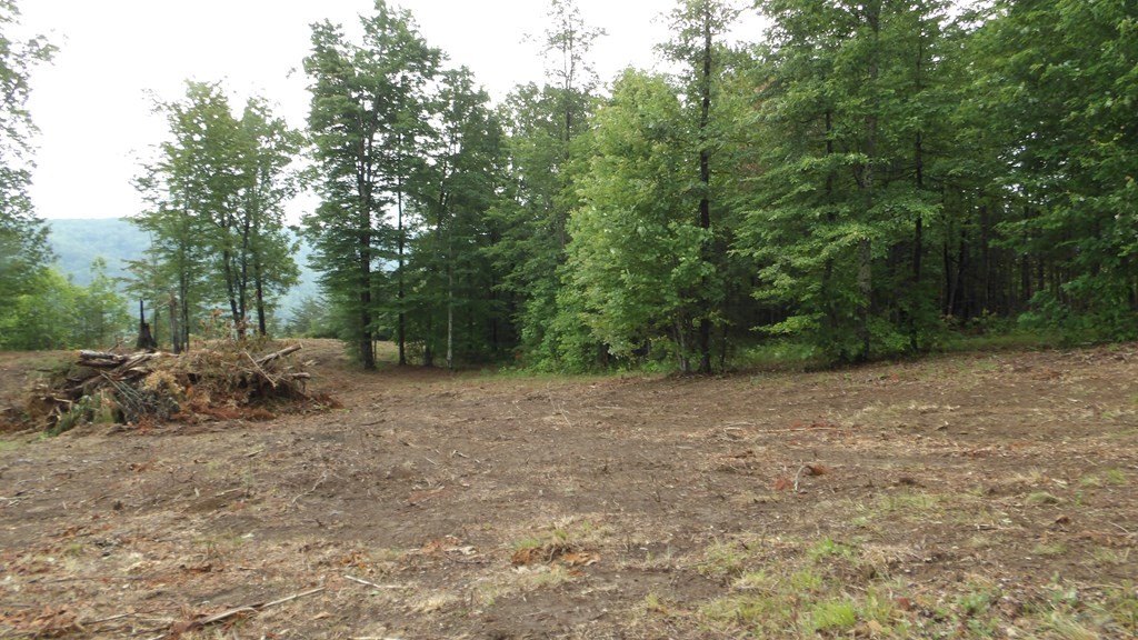 Picture 19