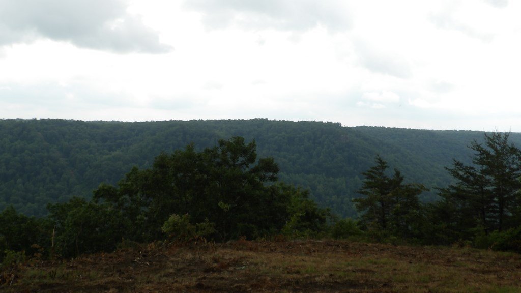 Picture 47