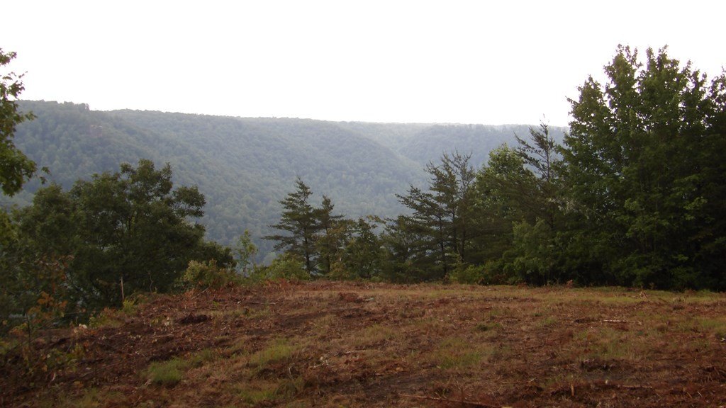 Picture 40
