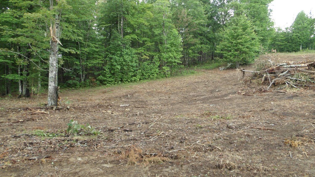 Picture 30