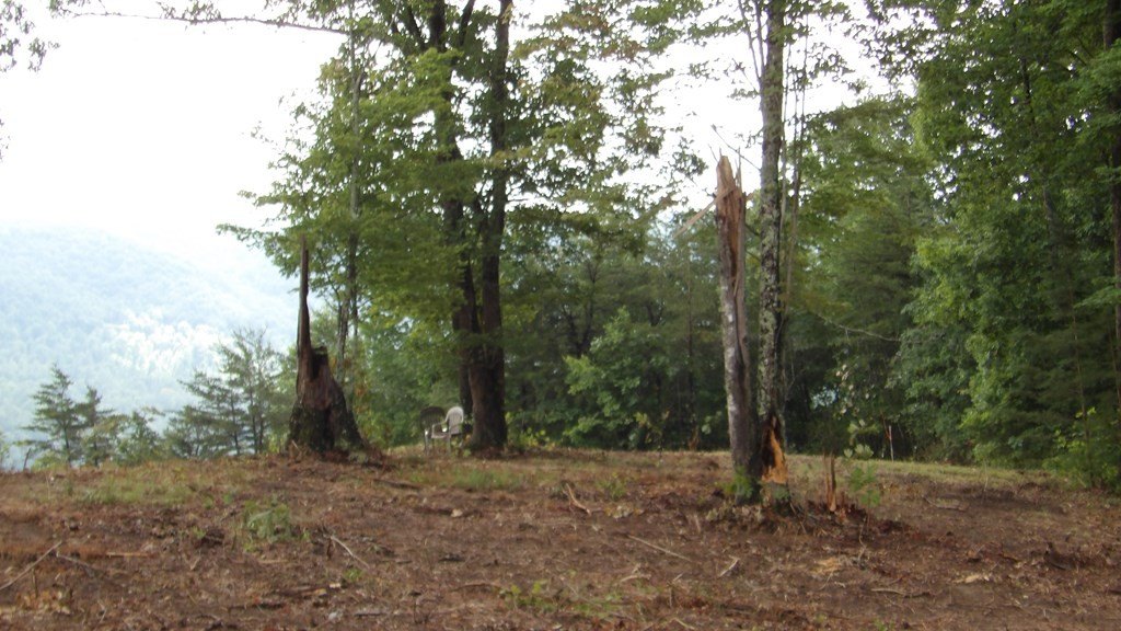 Picture 27