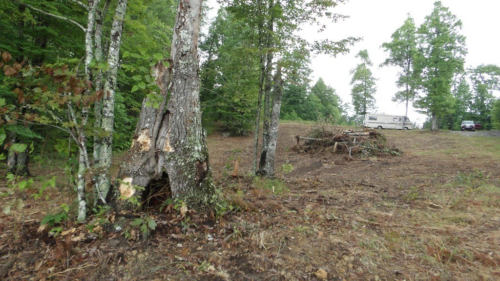 Picture 34